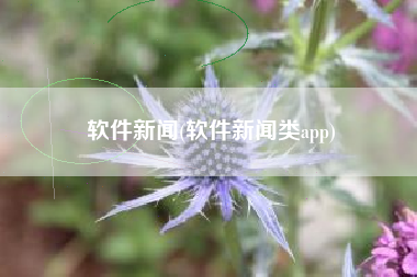 软件新闻(软件新闻类app)