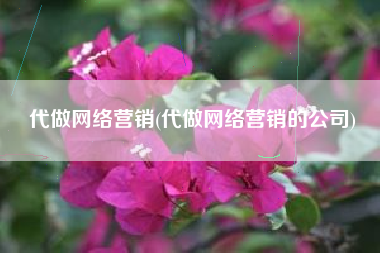 代做网络营销(代做网络营销的公司)