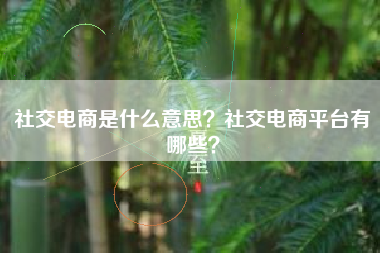 社交电商是什么意思？社交电商平台有哪些？