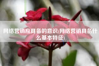 网络营销应具备的意识(网络营销具备什么基本特征)