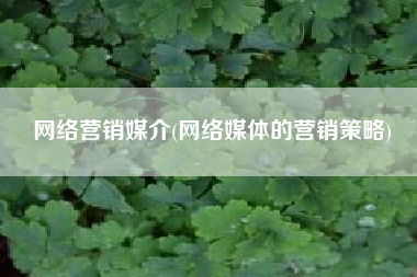 网络营销媒介(网络媒体的营销策略)