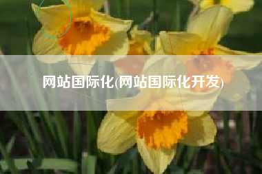 网站国际化(网站国际化开发)