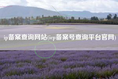 ip备案查询网站(icp备案号查询平台官网)