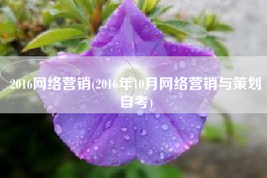 2016网络营销(2016年10月网络营销与策划自考)