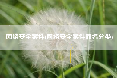 网络安全案件(网络安全案件罪名分类)