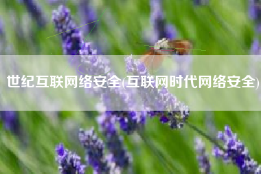世纪互联网络安全(互联网时代网络安全)