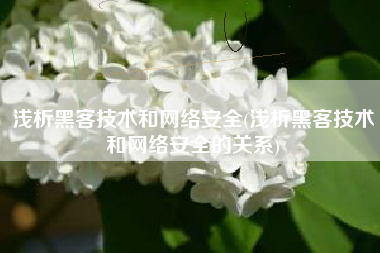 浅析黑客技术和网络安全(浅析黑客技术和网络安全的关系)