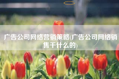 广告公司网络营销策略(广告公司网络销售干什么的)