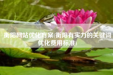 衡阳网站优化方案(衡阳有实力的关键词优化费用标准)