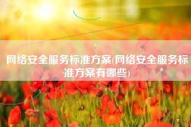 网络安全服务标准方案(网络安全服务标准方案有哪些)