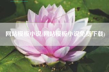 网站模板小说(网站模板小说免费下载)