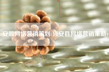 安顺网络营销策划(兴安县网络营销策略)