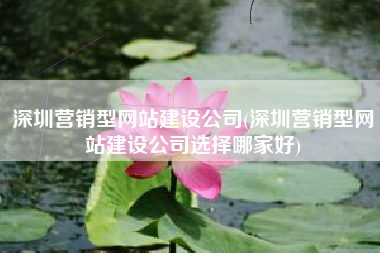 深圳营销型网站建设公司(深圳营销型网站建设公司选择哪家好)