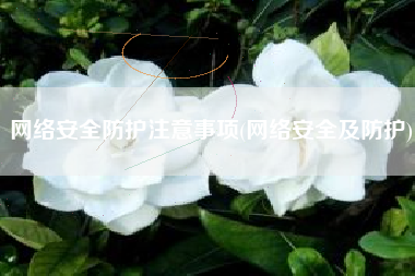 网络安全防护注意事项(网络安全及防护)