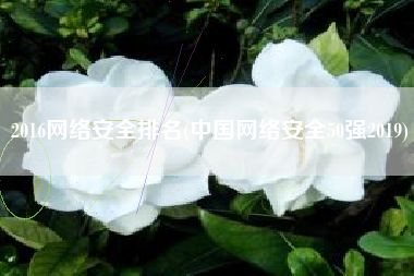 2016网络安全排名(中国网络安全50强2019)