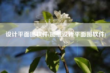 设计平面图软件(图纸设计平面图软件)
