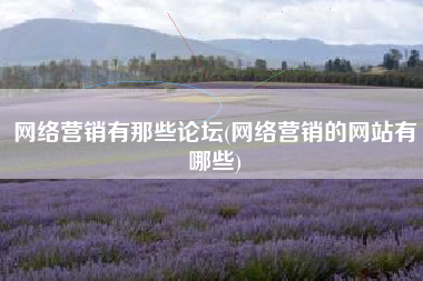 网络营销有那些论坛(网络营销的网站有哪些)
