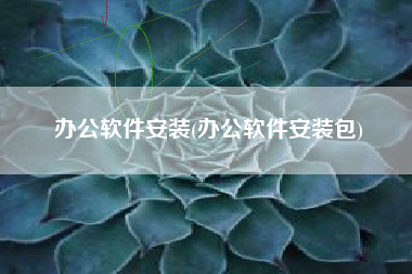 办公软件安装(办公软件安装包)