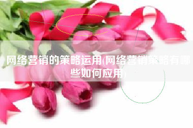 网络营销的策略运用(网络营销策略有哪些如何应用)