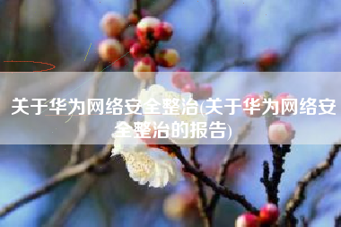关于华为网络安全整治(关于华为网络安全整治的报告)