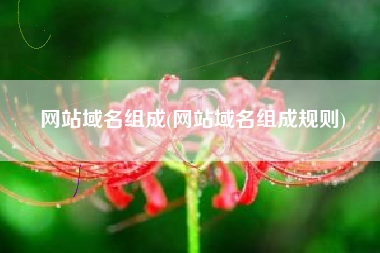 网站域名组成(网站域名组成规则)