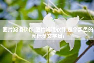 图片滤镜软件(图片滤镜软件,是个黑色的图标英文字母)