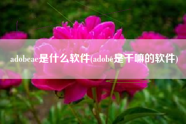 adobeae是什么软件(adobe是干嘛的软件)