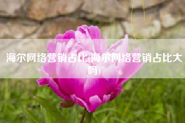 海尔网络营销占比(海尔网络营销占比大吗)