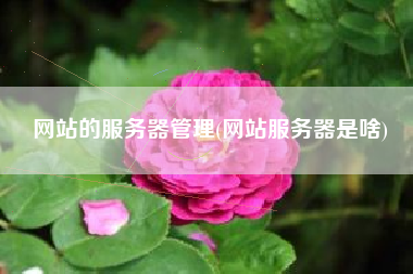 网站的服务器管理(网站服务器是啥)
