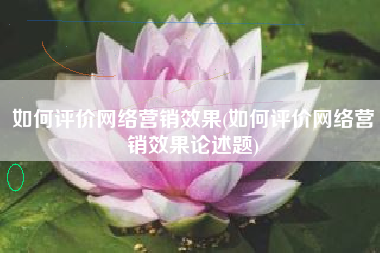 如何评价网络营销效果(如何评价网络营销效果论述题)