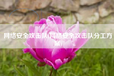 网络安全攻击队(网络安全攻击队分工方案)