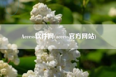 Access软件网(access官方网站)