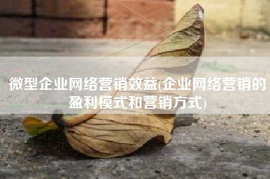 微型企业网络营销效益(企业网络营销的盈利模式和营销方式)
