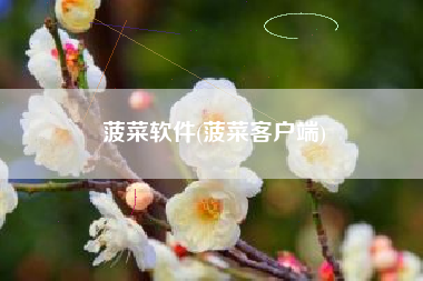 菠菜软件(菠菜客户端)