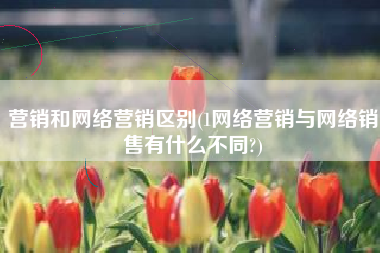 营销和网络营销区别(1网络营销与网络销售有什么不同?)