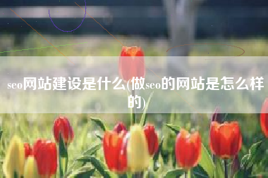 seo网站建设是什么(做seo的网站是怎么样的)