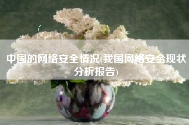 中国的网络安全情况(我国网络安全现状分析报告)