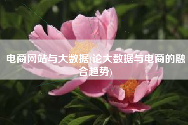 电商网站与大数据(论大数据与电商的融合趋势)