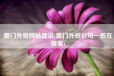 厦门外贸网站建设(厦门外贸公司一般在哪里)