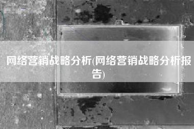 网络营销战略分析(网络营销战略分析报告)