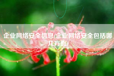 企业网络安全信息(企业网络安全包括哪几方面)