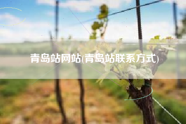 青岛站网站(青岛站联系方式)