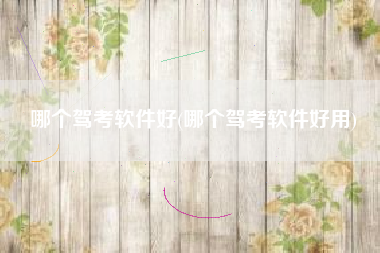 哪个驾考软件好(哪个驾考软件好用)