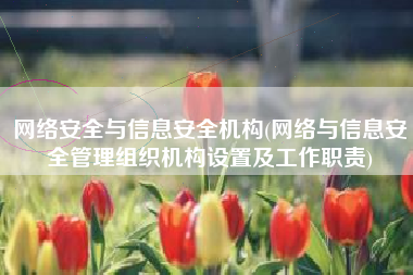 网络安全与信息安全机构(网络与信息安全管理组织机构设置及工作职责)