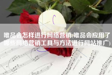 唯品会怎样进行网络营销(唯品会应用了哪些网络营销工具与方法进行网站推广)