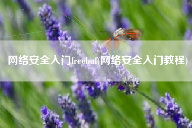 网络安全入门freebuf(网络安全入门教程)