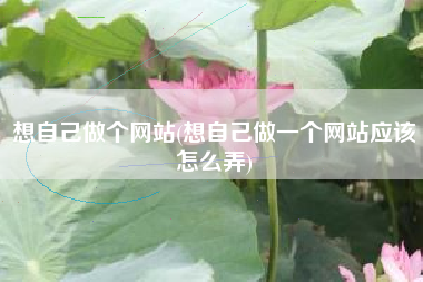 想自己做个网站(想自己做一个网站应该怎么弄)