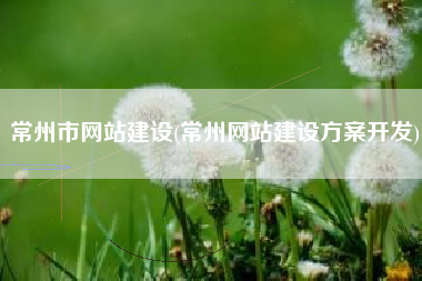 常州市网站建设(常州网站建设方案开发)