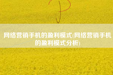 网络营销手机的盈利模式(网络营销手机的盈利模式分析)