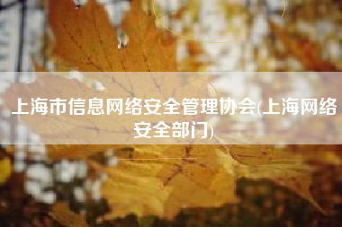 上海市信息网络安全管理协会(上海网络安全部门)